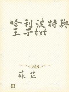 哈利波特与混血王子txt