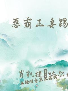 恶霸正妻踢娇妾