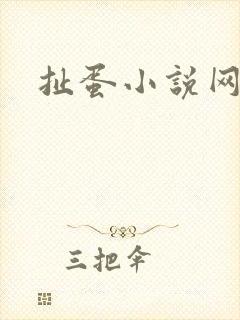 扯蛋小说网