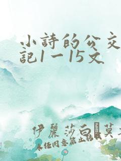 小诗的公交车日记1一15文