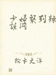 少妇系列辣文小说网