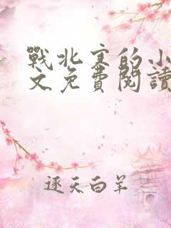 战北寒的小说全文免费阅读无弹窗