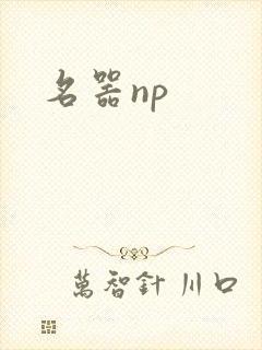 名器np