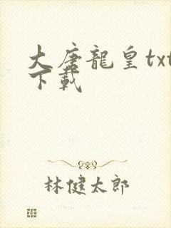 大唐龙皇txt下载