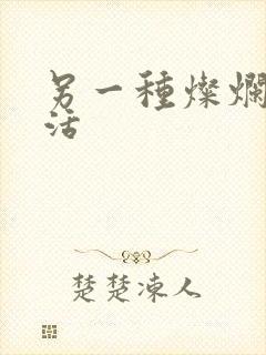 另一种灿烂的生活