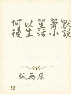 何以笙箫默之婚后生活小说
