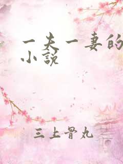 一夫一妻的玄幻小说