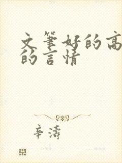 文笔好的高质量的言情