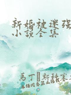 新婚被迷强系列小说全集