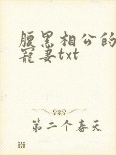 腹黑相公的庶女宠妻txt