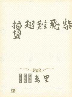 插翅难飞柴米油盐