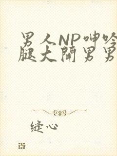 男人NP呻吟双腿大开男男小说