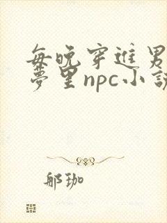 每晚穿进男神的梦里npc小说