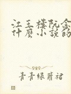 江玉楼阮念笙是什么小说的名字