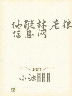 仙踪林老狼贰佰信息网