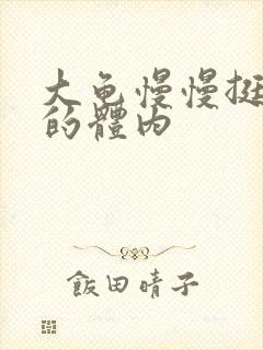 大龟慢慢挺进我的体内