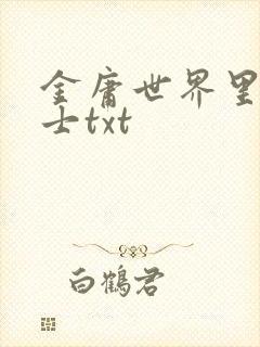 金庸世界里的道士txt