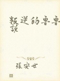 叛逆的鲁鲁修小说