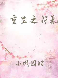 重生之符气冲天