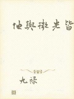 他与微光皆倾城