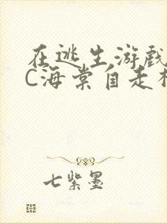 在逃生游戏里挨C海棠自走棋