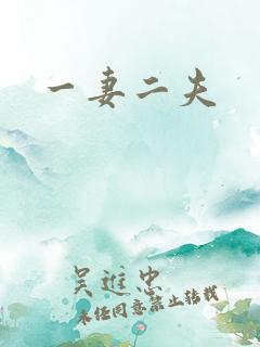 一妻二夫