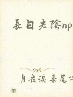 长日光阴np