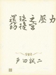 还珠之压力山大的后宫