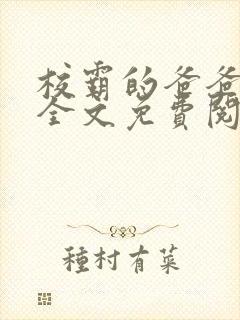 校霸的爸爸小说全文免费阅读