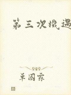 第三次机遇