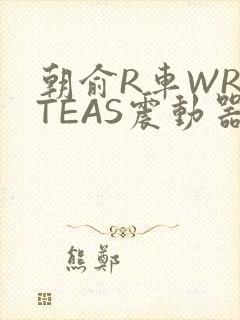 朝俞R车WRITEAS震动器