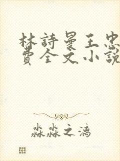 林诗曼王忠文免费全文小说的名称