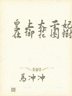 皇上太子妃沈音在御花园树上