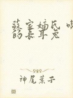 苏家嫡氏 吃肉的长耳兔