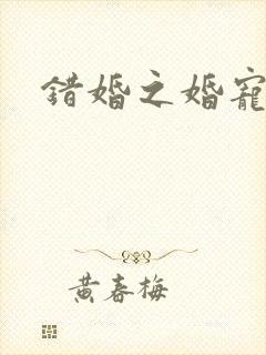 错婚之婚宠一世