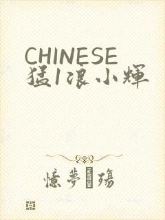 CHINESE猛1浪小辉
