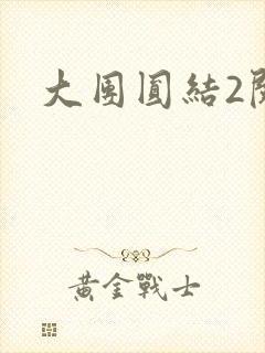大团圆结2阅读