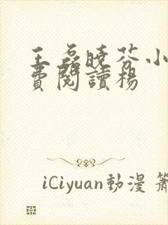 王磊晓芬小说免费阅读杨