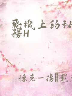 飞机上的秘密服务H