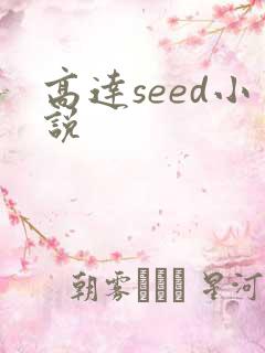 高达seed小说