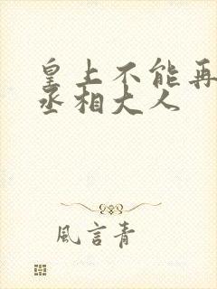 皇上不能再进了丞相大人