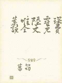 叶唯陆霆琛的小说全文免费阅读