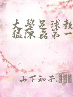 大学足球教练王猛陈磊第一篇