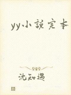 yy小说完本