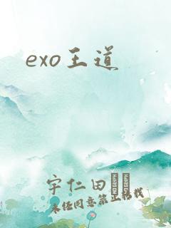 exo王道
