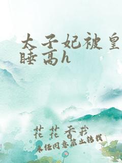 太子妃被皇上强睡高h