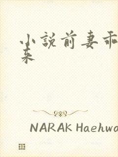 小说前妻乖乖回来