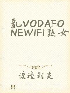 乱VODAFONEWIFI熟女