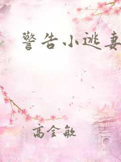 警告小逃妻