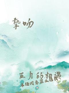 挚吻